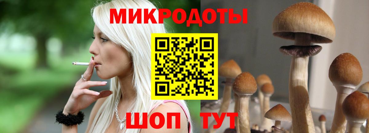 Мурино  Псилоцибиновые грибы мицелий  Вход с VPN  Псилоцибиновые грибы Magic Shrooms 