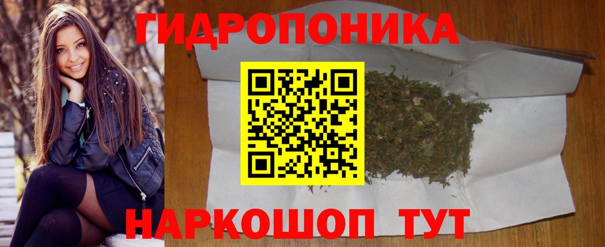 Мурино  Каннабис Bruce Banner  Вход с VPN  Марихуана сатива 